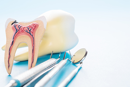 Bronx Wellness Family Dental
